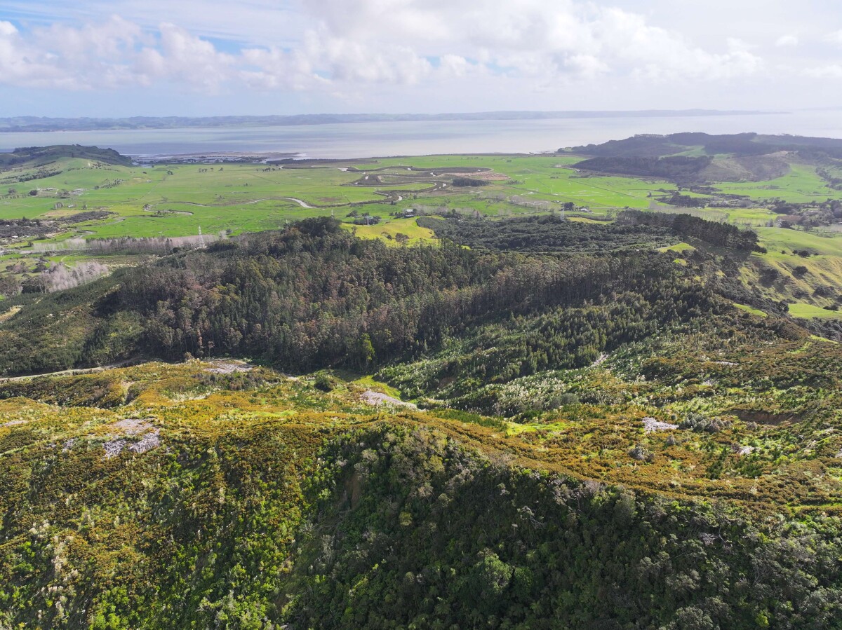 Araparera Forest – Excellent Location