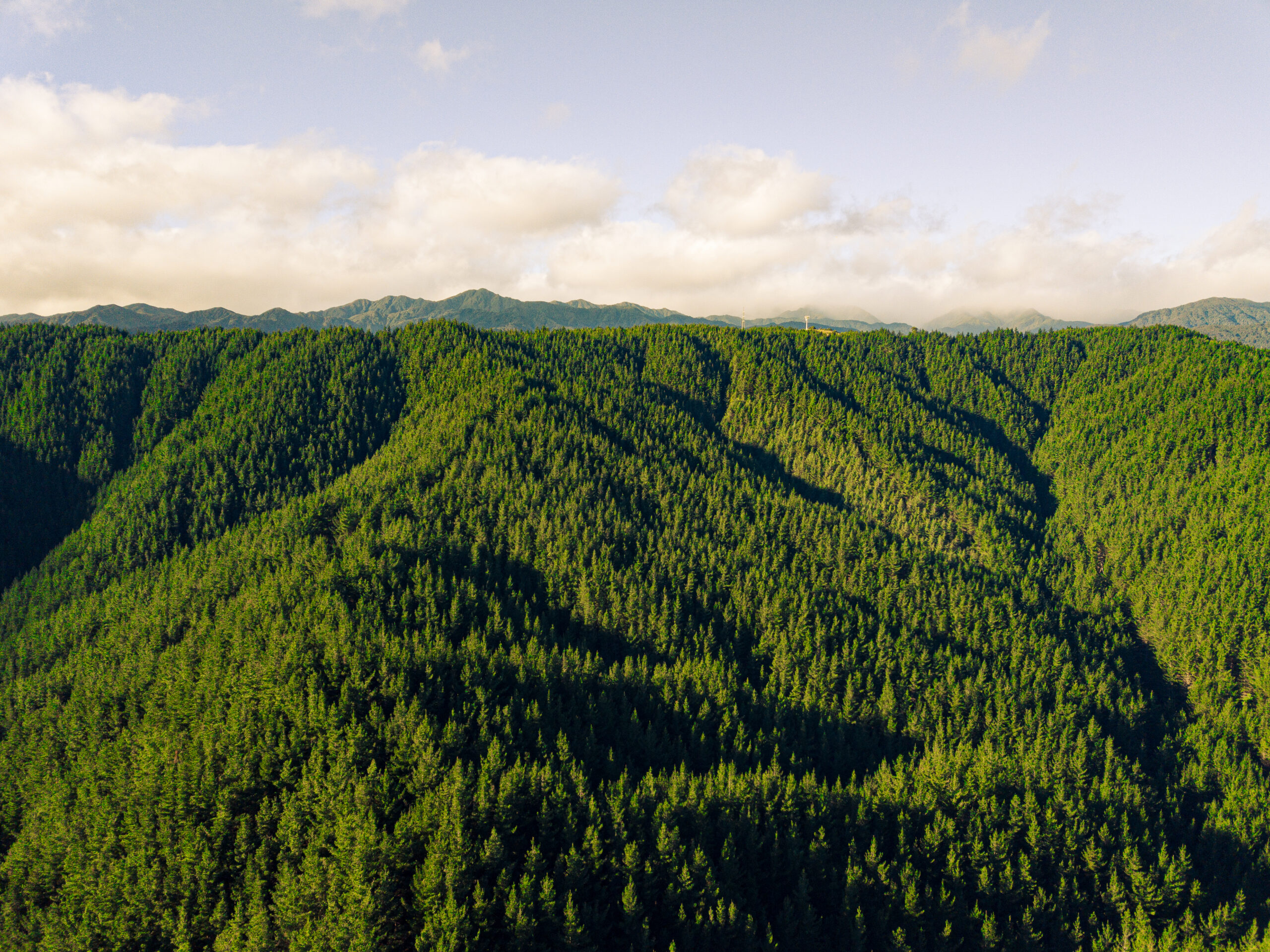 DJI_0004
