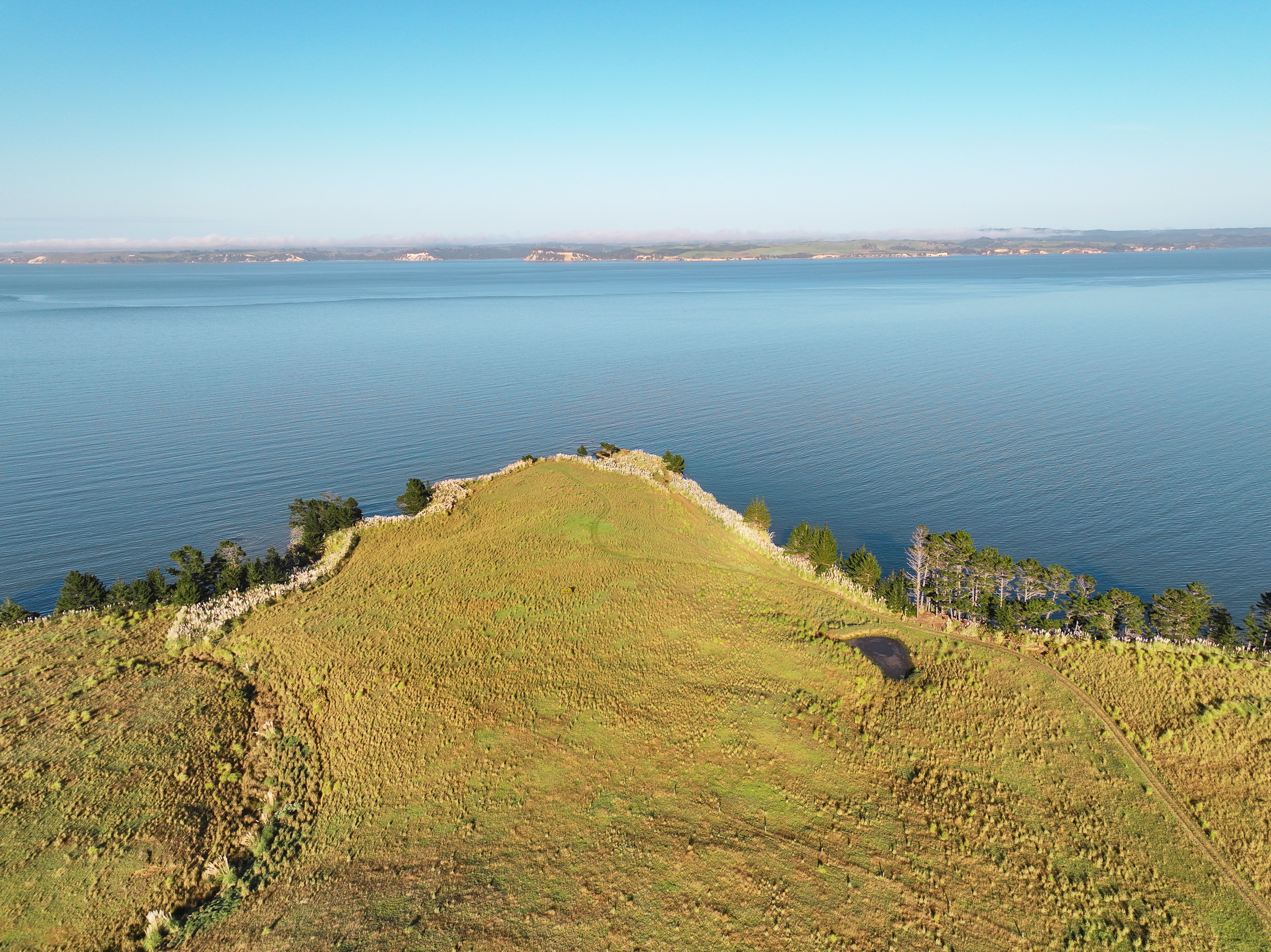 Rare Northland Coastal Grazing Opportunity